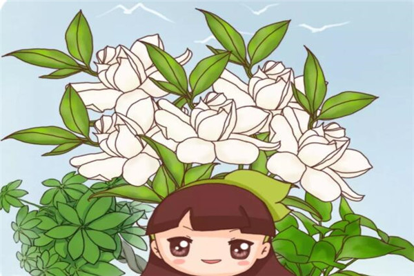 春天啥花都可以不养,唯独这6种,不养亏大了! 春天啥花都可以不养,唯独这6种,不养亏大了!