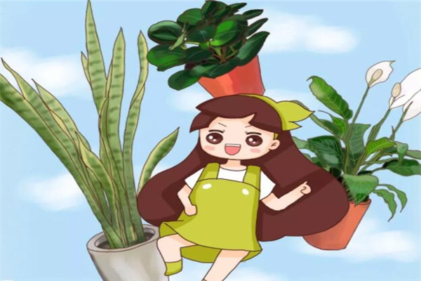 养花儿就像养孩子,一不留神就撒欢儿,管都管不住! 养花儿就像养孩子,一不留神就撒欢儿,管都管不住!