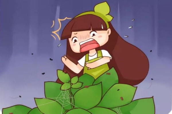 泡沫板套盆上,放水一冲,虫子全死光! 泡沫板套盆上,放水一冲,虫子全死光!