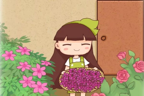 花瓣落了赶紧捡!加点料兑水一浇,年年开不停! 花瓣落了赶紧捡!加点料兑水一浇,年年开不停!