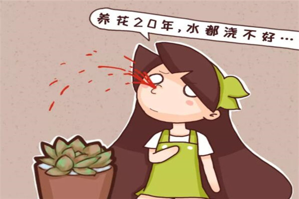 养花20年,水都浇不好,怪不得养一盆死一盆! 养花20年,水都浇不好,怪不得养一盆死一盆!
