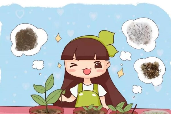花谢后掐个枝,扔土里就活,再便宜也别买! 花谢后掐个枝,扔土里就活,再便宜也别买!
