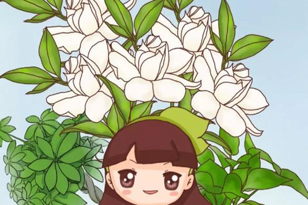夏天热成狗?快养这8种花,1盆顶10个空调! 夏天热成狗?快养这8种花,1盆顶10个空调!