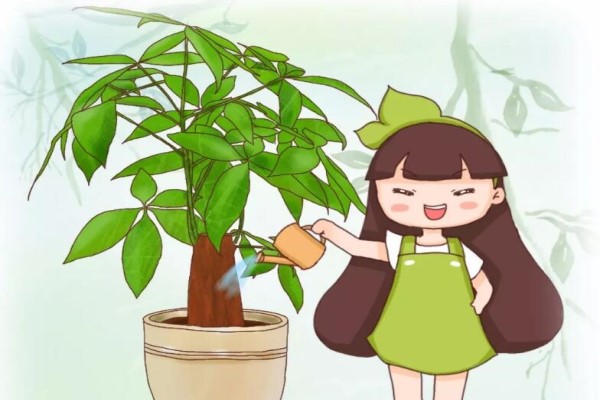 这8种花,咕嘟咕嘟灌够水,夏天越长越旺盛! 这8种花,咕嘟咕嘟灌够水,夏天越长越旺盛!
