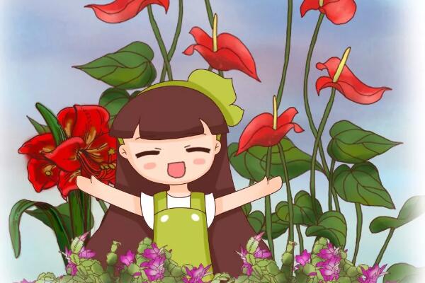这5种花,给点光就开爆盆,漂亮又好养! 这5种花,给点光就开爆盆,漂亮又好养!