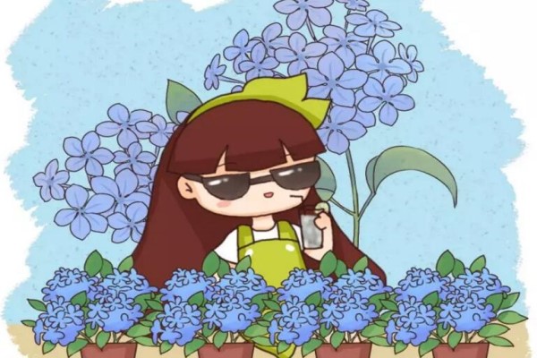 家里养这15种花,清凉解暑,空调都不用开了! 家里养这15种花,清凉解暑,空调都不用开了!