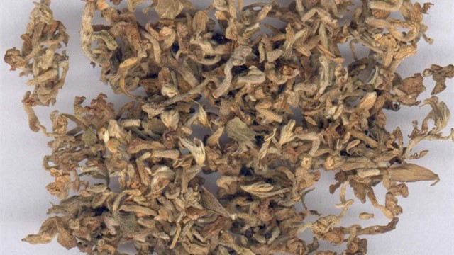 芫花根的功效与作用 芫花根的功效与作用