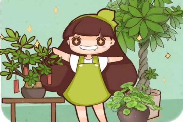 还养啥花?这8种花,叶子比花美100倍! 还养啥花?这8种花,叶子比花美100倍!