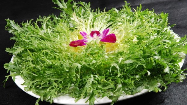 苦菊的功效与作用 苦菊的功效与作用