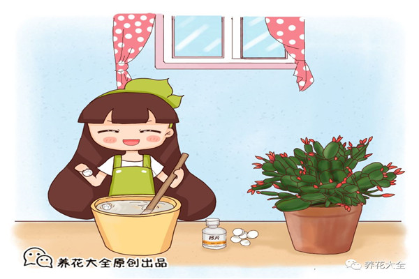 过期药膏你别扔!拿来养花,叶子油亮花朵呼呼冒! 过期药膏你别扔!拿来养花,叶子油亮花朵呼呼冒!