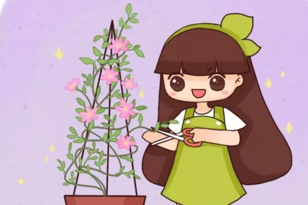 从一片叶到爬满墙,她只用了1个月,爆发力惊人! 从一片叶到爬满墙,她只用了1个月,爆发力惊人!