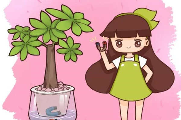 水里丢点它,根比萝卜还粗,黄叶全没了! 水里丢点它,根比萝卜还粗,黄叶全没了!