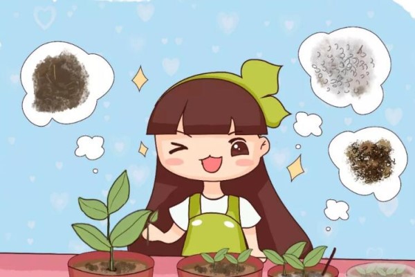 剪这个枝扦插,怪不得插啥都不活,插100盆都白搭! 剪这个枝扦插,怪不得插啥都不活,插100盆都白搭!