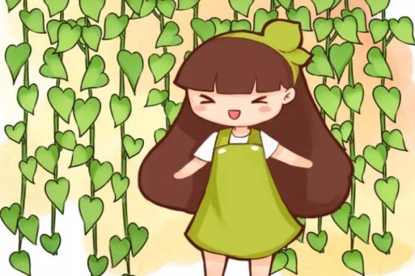 这花就是“活空调”,除尘防噪又降温,满墙疯长拦不住! 这花就是“活空调”,除尘防噪又降温,满墙疯长拦不住!