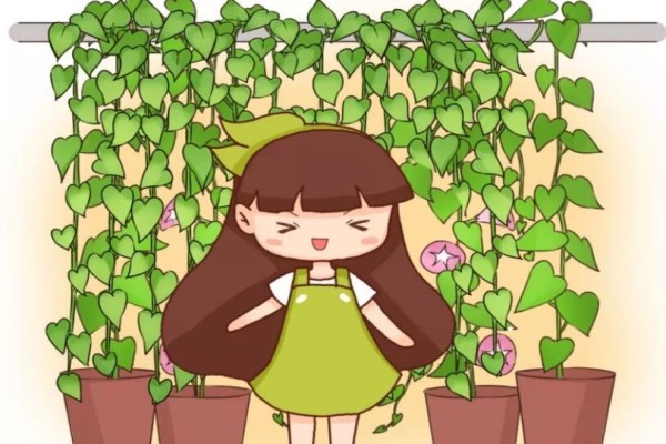这花10天蹿2米， 200平的房子都装不下！