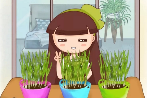 切个片扔土里,果子多的压弯枝,夏天水果蔬菜不用买! 切个片扔土里,果子多的压弯枝,夏天水果蔬菜不用买!