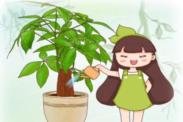 夏天这么浇水,花旺的像打了药,肥料营养液全省了! 夏天这么浇水,花旺的像打了药,肥料营养液全省了!
