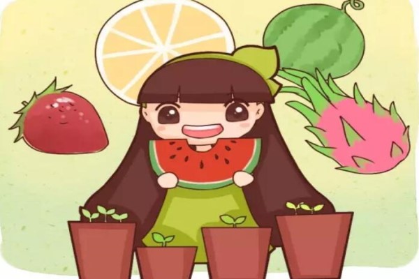 水果籽丢盆里,呼呼冒绿芽,1年结果100个! 水果籽丢盆里,呼呼冒绿芽,1年结果100个!