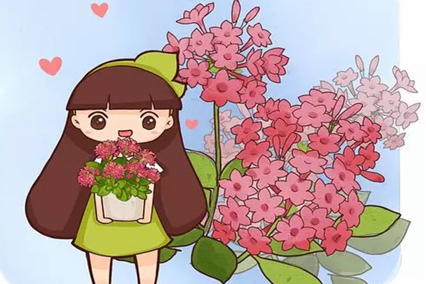 这6种花,给点光就能爆成地毯,越晒越好看! 这6种花,给点光就能爆成地毯,越晒越好看!