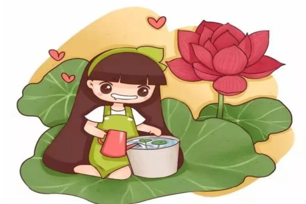 路边捡了几块石头,拿来养花,朋友都抢疯了! 路边捡了几块石头,拿来养花,朋友都抢疯了!