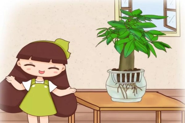 水里丢点料,花根壮的像打药,黄叶蚊虫全没了! 水里丢点料,花根壮的像打药,黄叶蚊虫全没了!