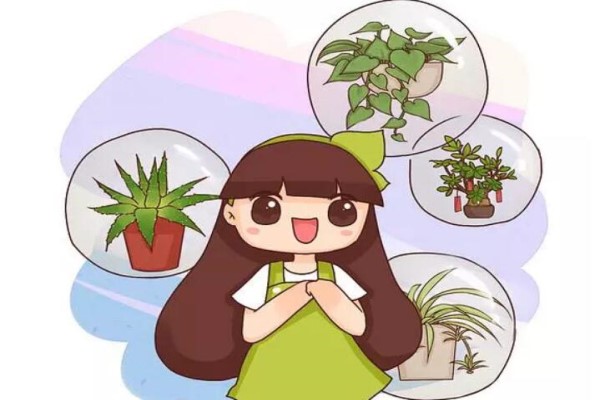 挂起来立马变窗帘!这7种心形花,朋友圈抢疯了! 挂起来立马变窗帘!这7种心形花,朋友圈抢疯了!