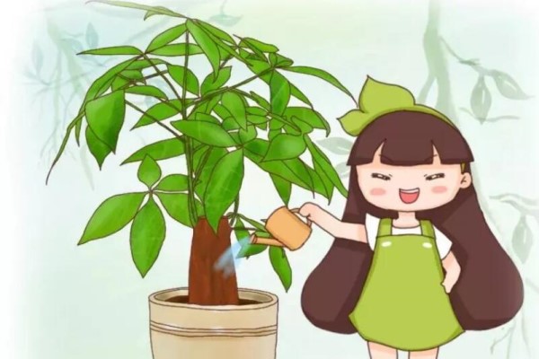 万能浇水神器,就是1根小吸管,专治烂根黄叶! 万能浇水神器,就是1根小吸管,专治烂根黄叶!