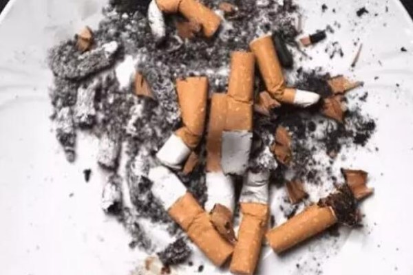 抽完的烟头不要丢,养花去污杀蚊虫,99%的人不知道! 抽完的烟头不要丢,养花去污杀蚊虫,99%的人不知道!