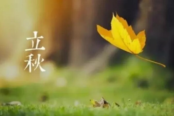 立秋后就喝这3汤,去湿气补血气,一觉睡到大天亮! 立秋后就喝这3汤,去湿气补血气,一觉睡到大天亮!