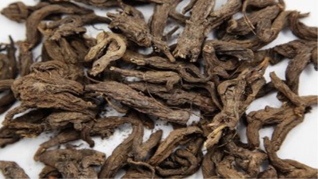 大戟和红大戟的区别 大戟和红大戟的区别
