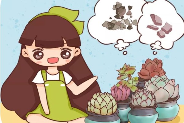 这些偏方无敌了,养啥都旺,1分钱不花! 这些偏方无敌了,养啥都旺,1分钱不花!