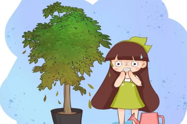 秋老虎来了,做了这些傻事儿,你的花立马死翘翘! 秋老虎来了,做了这些傻事儿,你的花立马死翘翘!