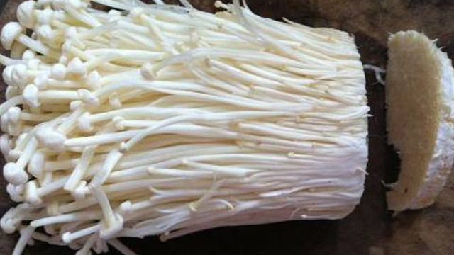 金针菇根可以再生吗 金针菇根可以再生吗