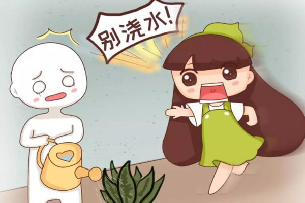这10种花俩月没浇水,竟然越长越猛! 这10种花俩月没浇水,竟然越长越猛!
