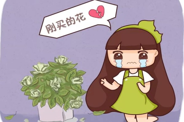 入秋别买这5种花,回家3天花苞全掉,再便宜都亏! 入秋别买这5种花,回家3天花苞全掉,再便宜都亏!