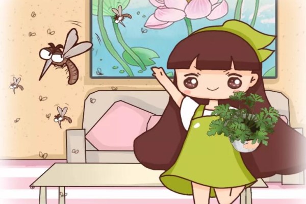 秋蚊子来了!家里赶紧放盆它,蚊子全都绕道走! 秋蚊子来了!家里赶紧放盆它,蚊子全都绕道走!
