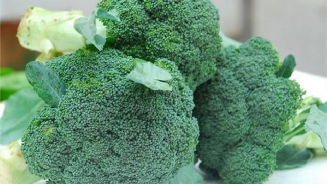 白花菜和绿花菜有什么区别 白花菜和绿花菜有什么区别