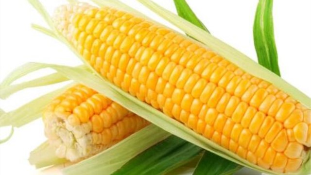 玉米什么时候种 玉米什么时候种