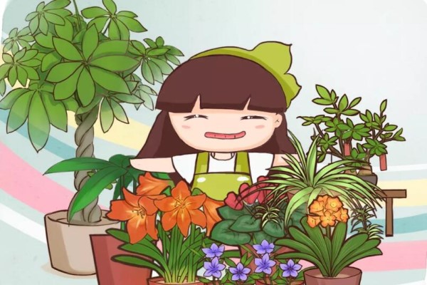 生活不如意的时候,就养盆花草吧! 生活不如意的时候,就养盆花草吧!
