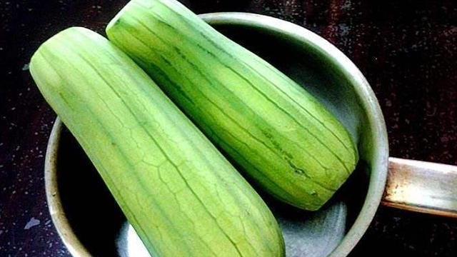 挖出来的“丝瓜瓤”还能养花?剪碎后埋土里,防止土壤变硬的好帮手! 挖出来的“丝瓜瓤”还能养花?剪碎后埋土里,防止土壤变硬的好帮手!