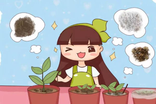 未来1个月,这8种花插土里就活,秋冬也能开! 未来1个月,这8种花插土里就活,秋冬也能开!