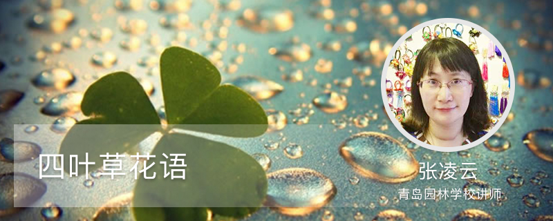 四叶草花语 四叶草花语