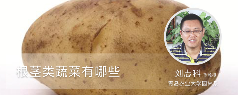 根茎类蔬菜有哪些 根茎类蔬菜有哪些