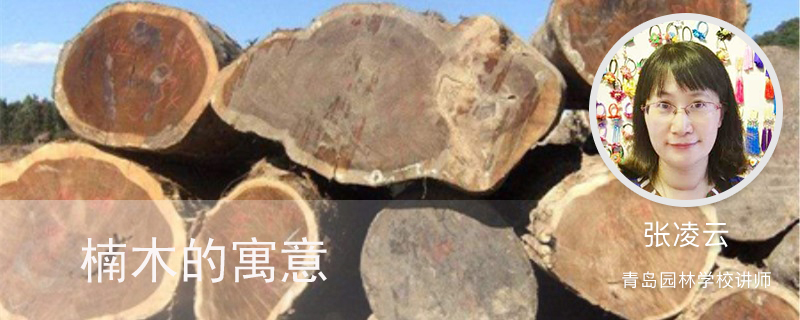 楠木的寓意 楠木的寓意