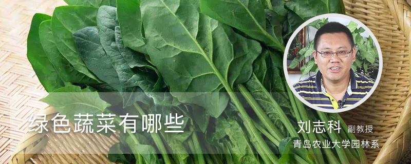 绿色蔬菜有哪些 绿色蔬菜有哪些