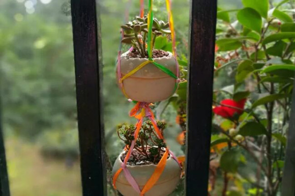 自从开始养花,她就得了一个怪病,瞅啥都是花盆! 自从开始养花,她就得了一个怪病,瞅啥都是花盆!
