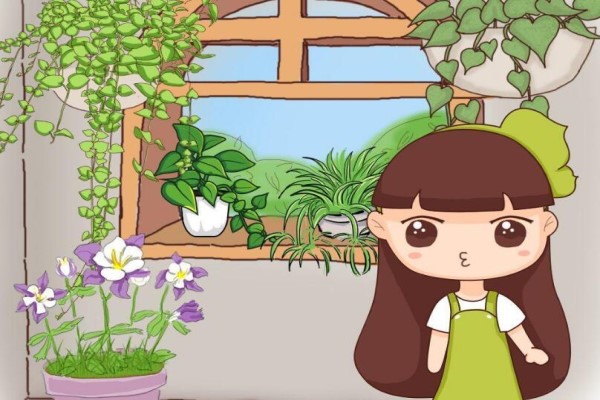 这6种花,一养就上瘾,日子越过越美好! 这6种花,一养就上瘾,日子越过越美好!
