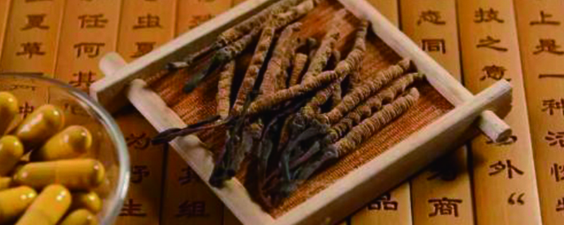 冬虫夏草怎么吃最好(吃法及用量) 冬虫夏草怎么吃最好(吃法及用量)