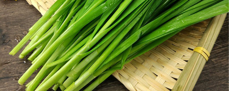 可反复采摘的蔬菜有哪些 可反复采摘的蔬菜有哪些