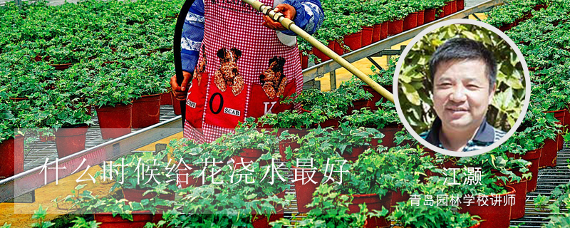 什么时候给花浇水最好 什么时候给花浇水最好